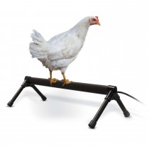 K&H Pet Products Thermo-Chicken Perch Gray 26" x 14" x 8"
